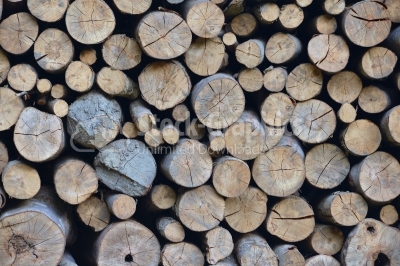 Background of firewood stacked in the woodpile