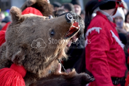 Bear head costume. The annual Winter Traditions and Customs Festival.