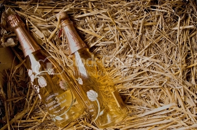 Champagne - Stock Image