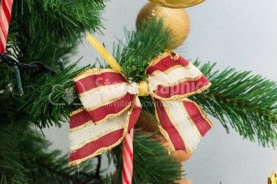 Christmas bow on chirstmas tree