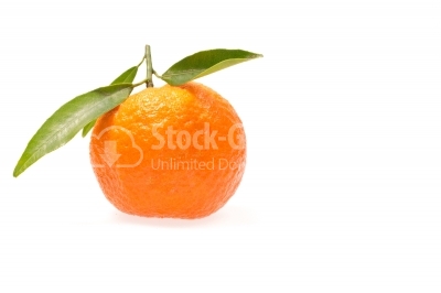 Clementine with green leaves