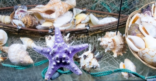 Close-up on sea shells decorations