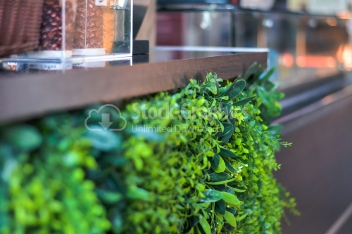 Counter with artificial plants in a pub.