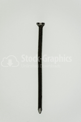 Flat-head nail on white background - Stock Image
