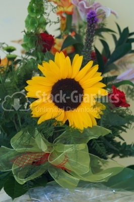 Flower arrangement - Stock Image