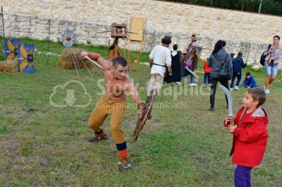 Gladiator fighting on a medieval festival