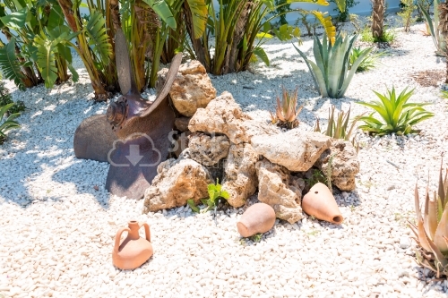 Gravel surrounded by plants