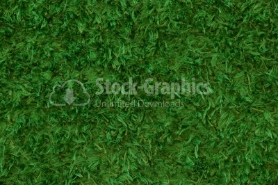 Green carpet fringed texture background