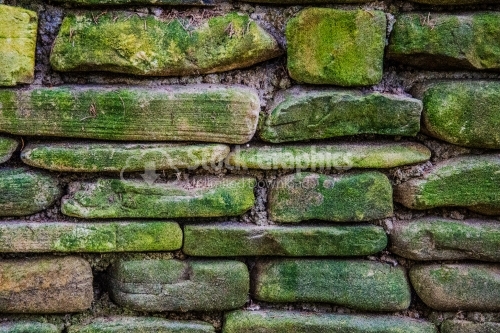 Green moss on old stone wall