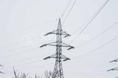 High voltage carrier power lines through the forest