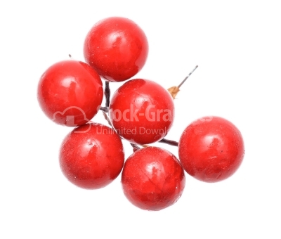 Holly berry christmas decoration