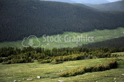 Landscape with forest mountains
