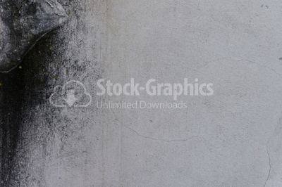 Moldy wall texture