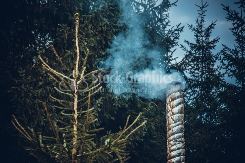 Old chimney in a pine forest