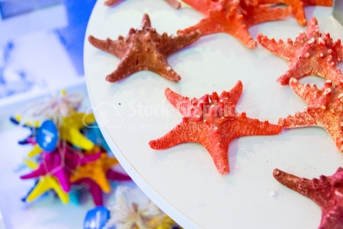 Red sea stars standing on a table