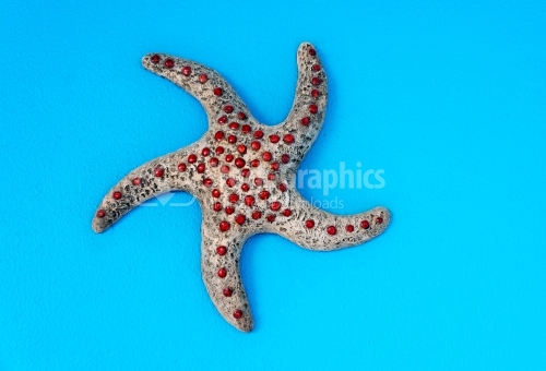 Red-dotted Aquatic Organism