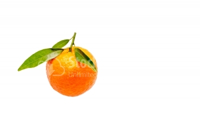 Ripe mandarines with leaves close-up on a white background. T