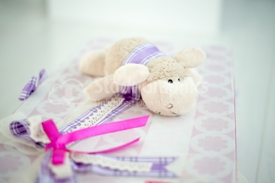 Sheep on newborn gift box