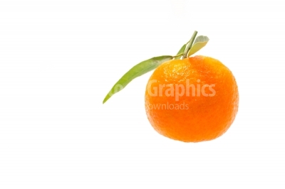 Single clementine isolated on white background