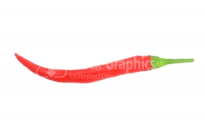 Single red hot chili peper