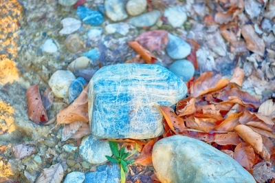 Stone in wood soil