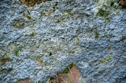 Texture of old cement