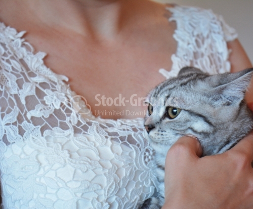 The bride with a scared cat in her arms.