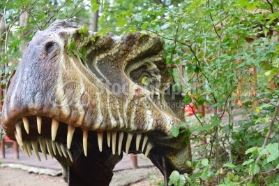 Tyrannosaurus of park jurassic