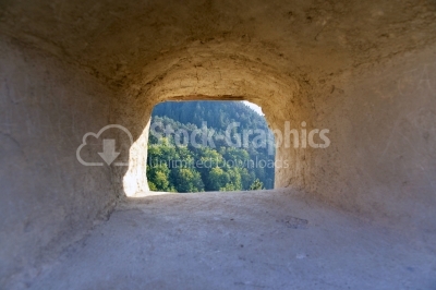 View of the forest of a stone cave