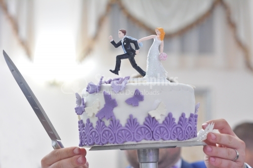 Wedding cake with figurines.
