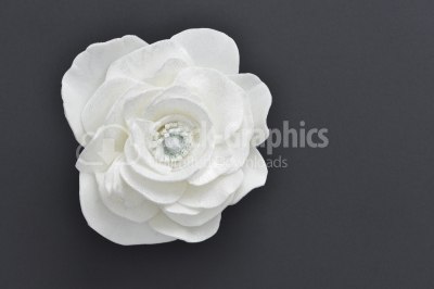 White floating flowers
