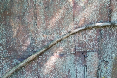 Wood beam on rustic background