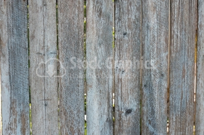 Wood grey wall close-up