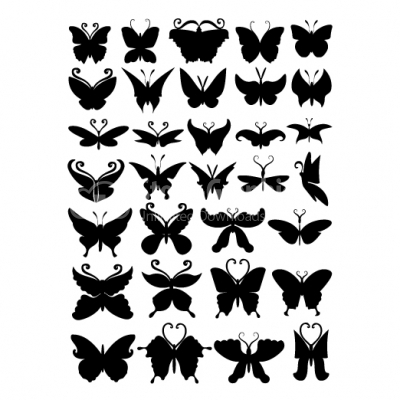 Butterflies collection - Illustration