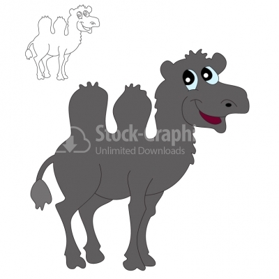 Camel - Illustration