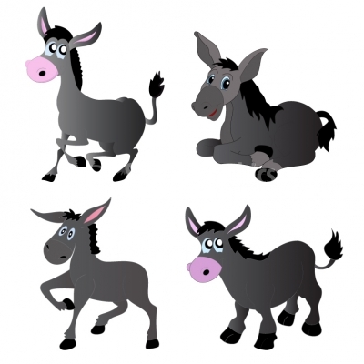 Donkeys set