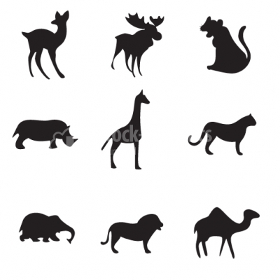 Jungle animals silhouette set