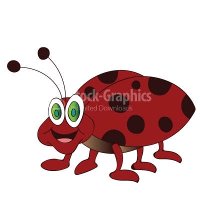Ladybug - Illustration