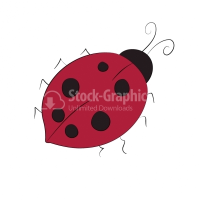 ladybug - Illustration