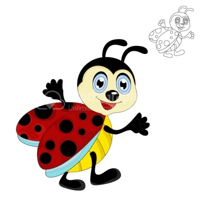 Ladybug - Illustration