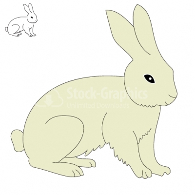 Rabbit - Illustration