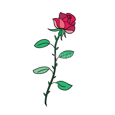 Rose vector illustration