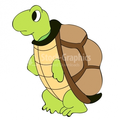Turtle - Illustration