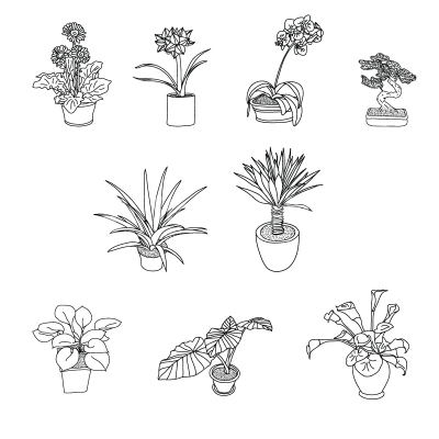 Vector flower pots