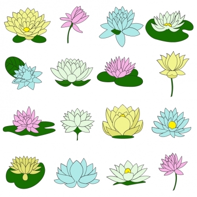 Water lily flower set Illustration