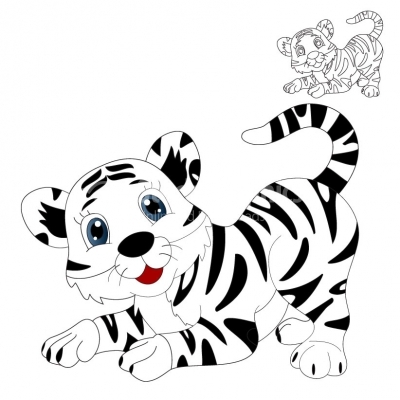 White Tiger - Illustration
